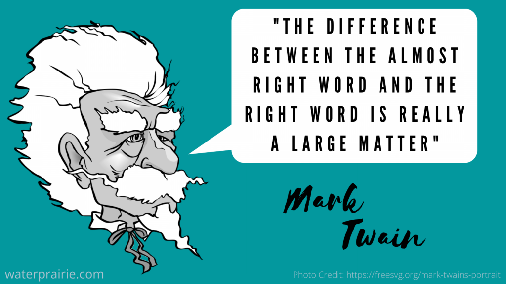 A black and white image of Mark Twain on a dark teal background. There is a quote from Mark Twain showing why Person First Language should be considered. The quote reads, "The difference between the almost right word and the right word is really a large matter."