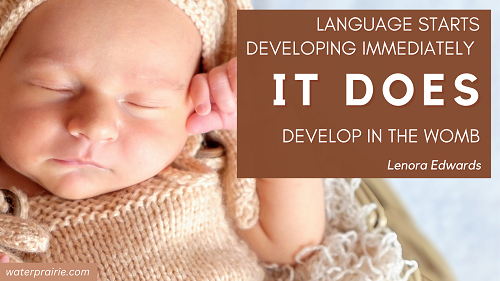 Photo of a sleeping infant wearing a soft knit hat and top. To the right is a text box which reads, "Language starts developing immediately IT DOES develop in the womb. Lenora Edwards"